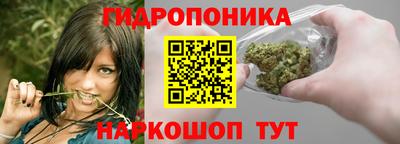 apvp Аргун