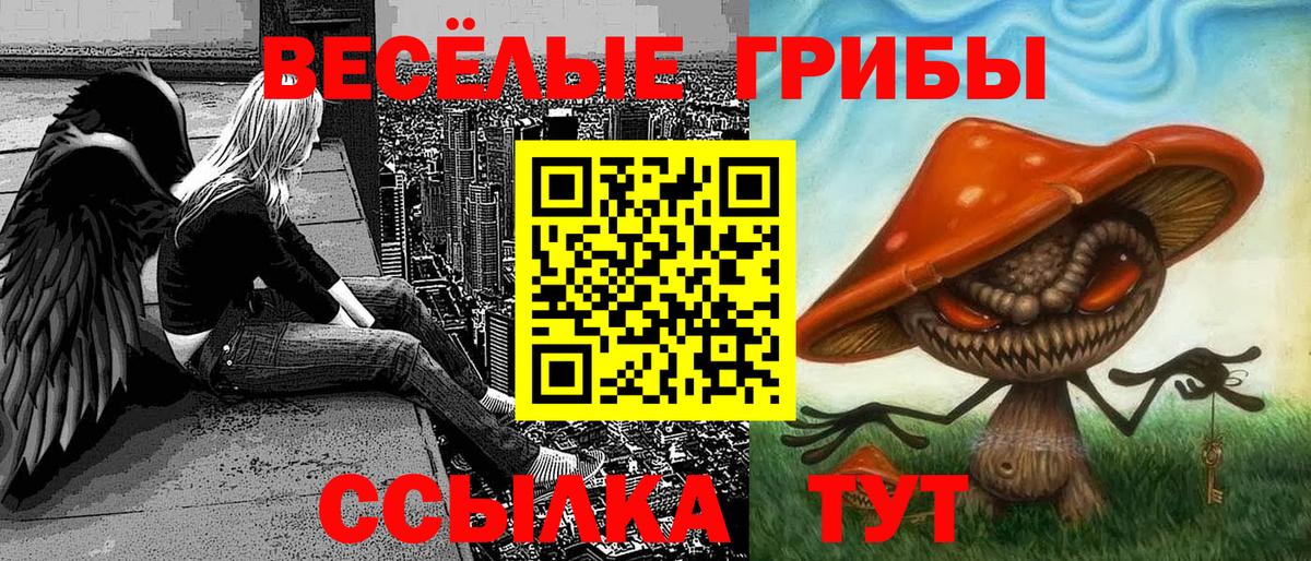 Бердск  Галлюциногенные грибы мицелий  Псилоцибиновые грибы мицелий  Вход с VPN 