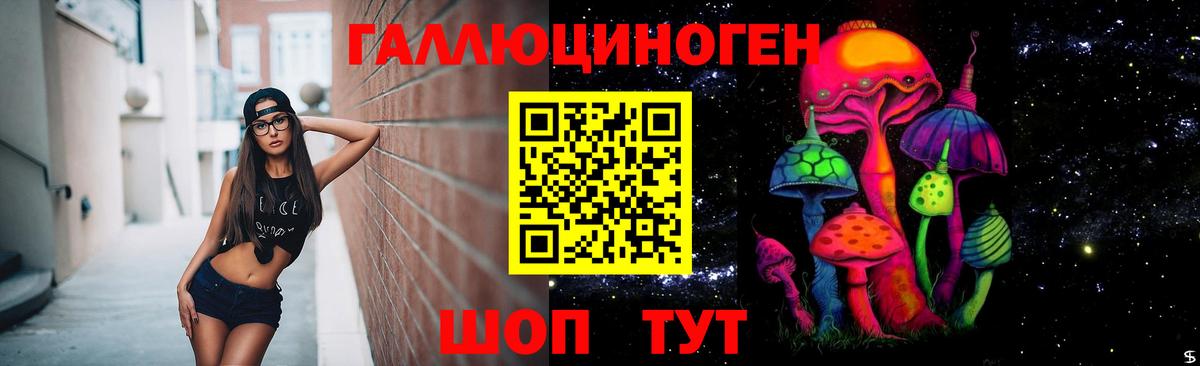 Псилоцибиновые грибы прущие грибы Бердск