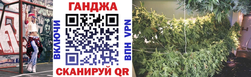 Шишки марихуана White Widow  даркнет сайт  Бердск 
